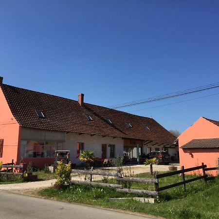Gite Chez Marcel Et Bea La Chapelle-Saint-Sauveur  Zewnętrze zdjęcie